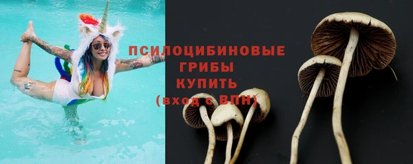 СК Навашино