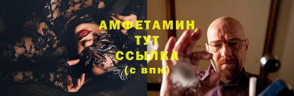 прущий лед Вяземский